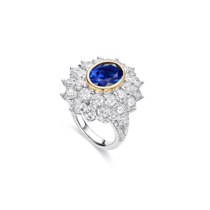 Oval Blue Sapphire Double Halo Ring - Gem Vivi